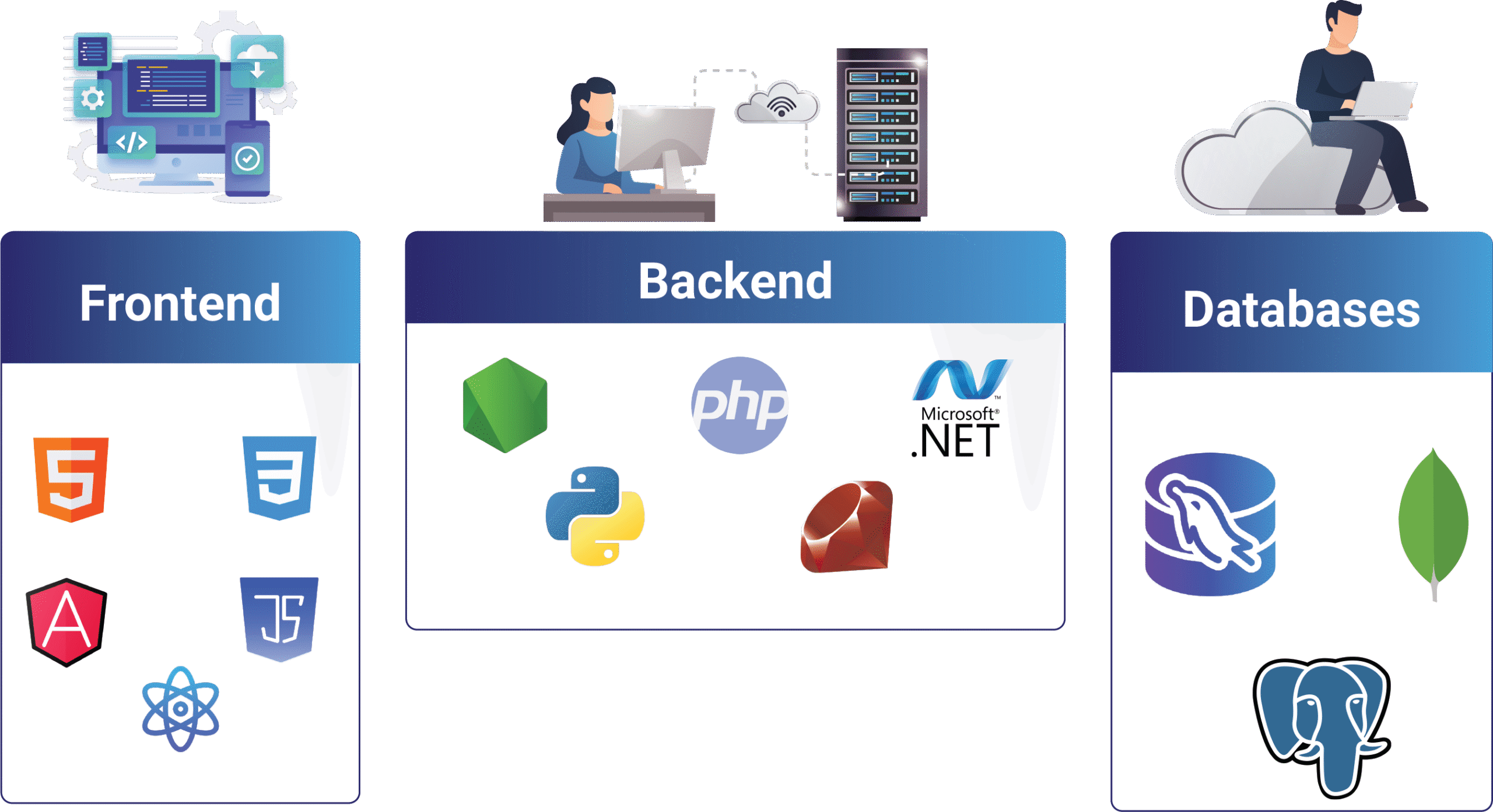 Web Design & Development 